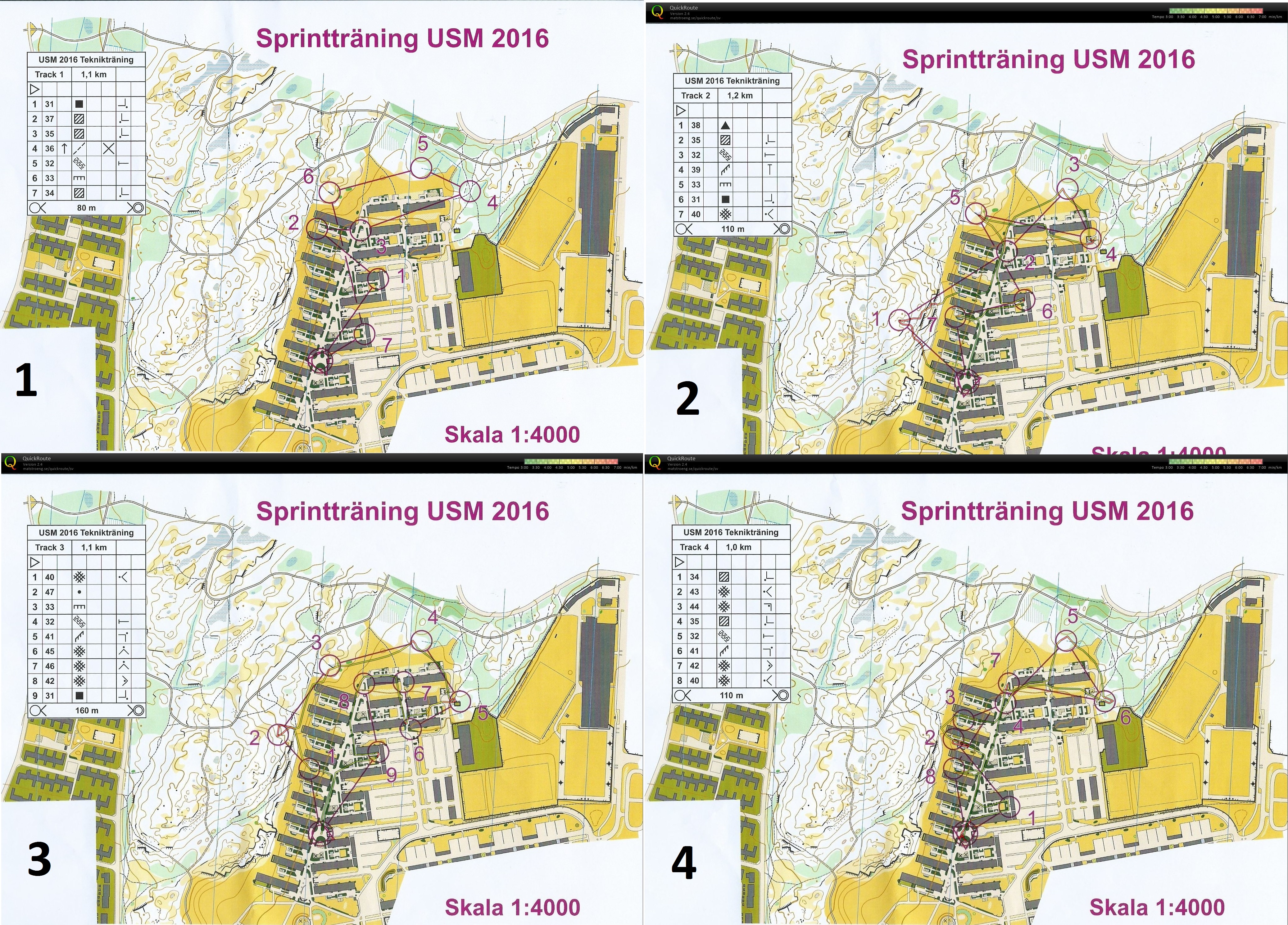 Usm Träning #2 Sprint (2016-08-14)