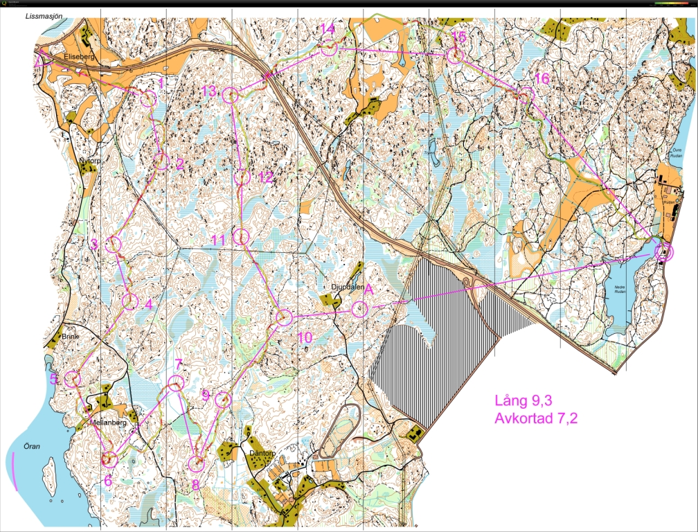 Söndags långdistans i grupp (2011-11-20)